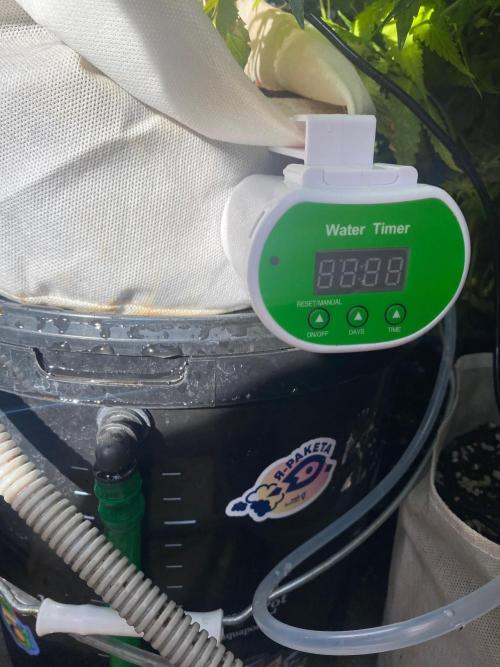 Durban Poizon Indoor. Week 13 - New pump from aliexpress