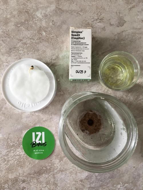 IZI AK47 Fem Indoor. Week 0