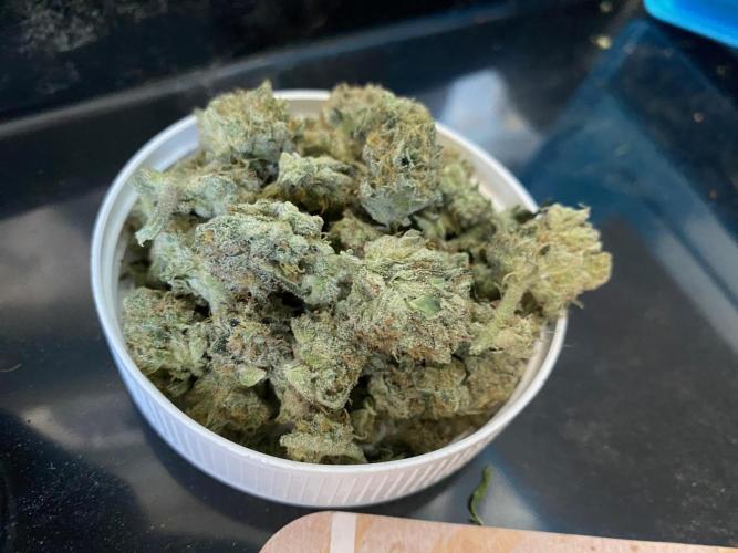HPS. Week 15