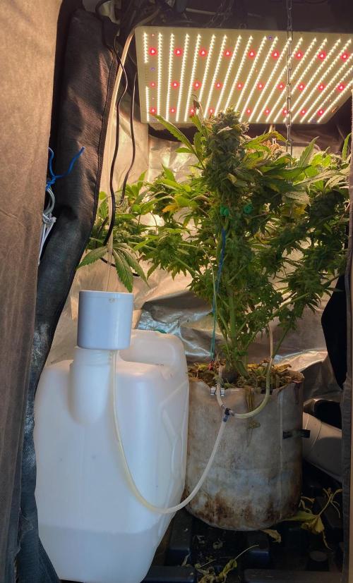 IZI AK47 Fem Indoor. Week 16