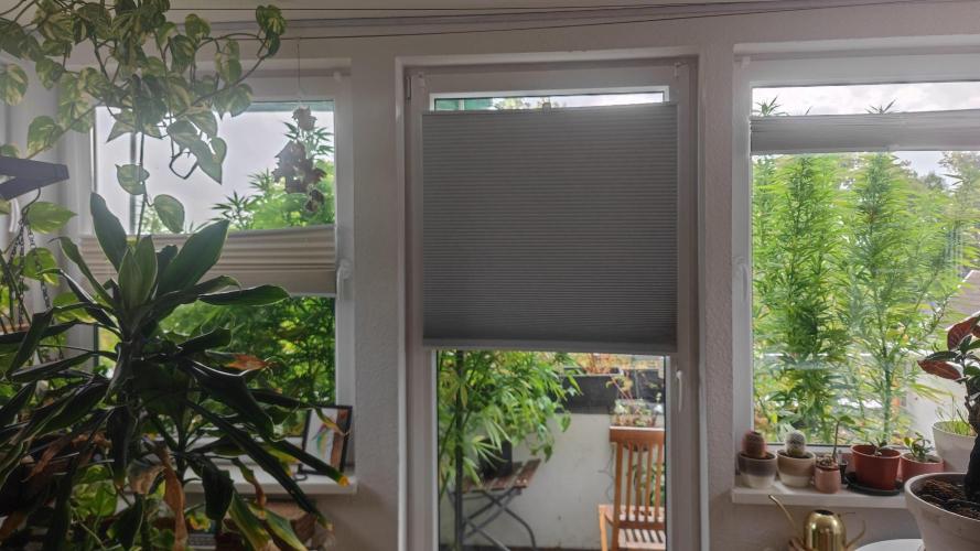 Frisian Dew / Outdoor 2025. Week 26