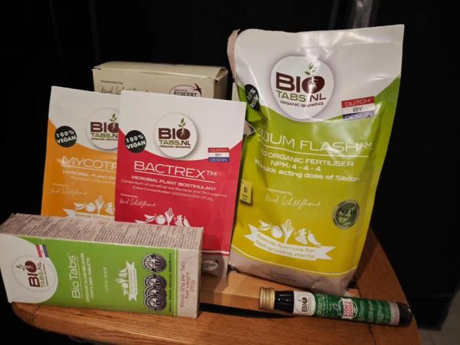 Rainbow Sherbert #11 / Kannabia / Indoor