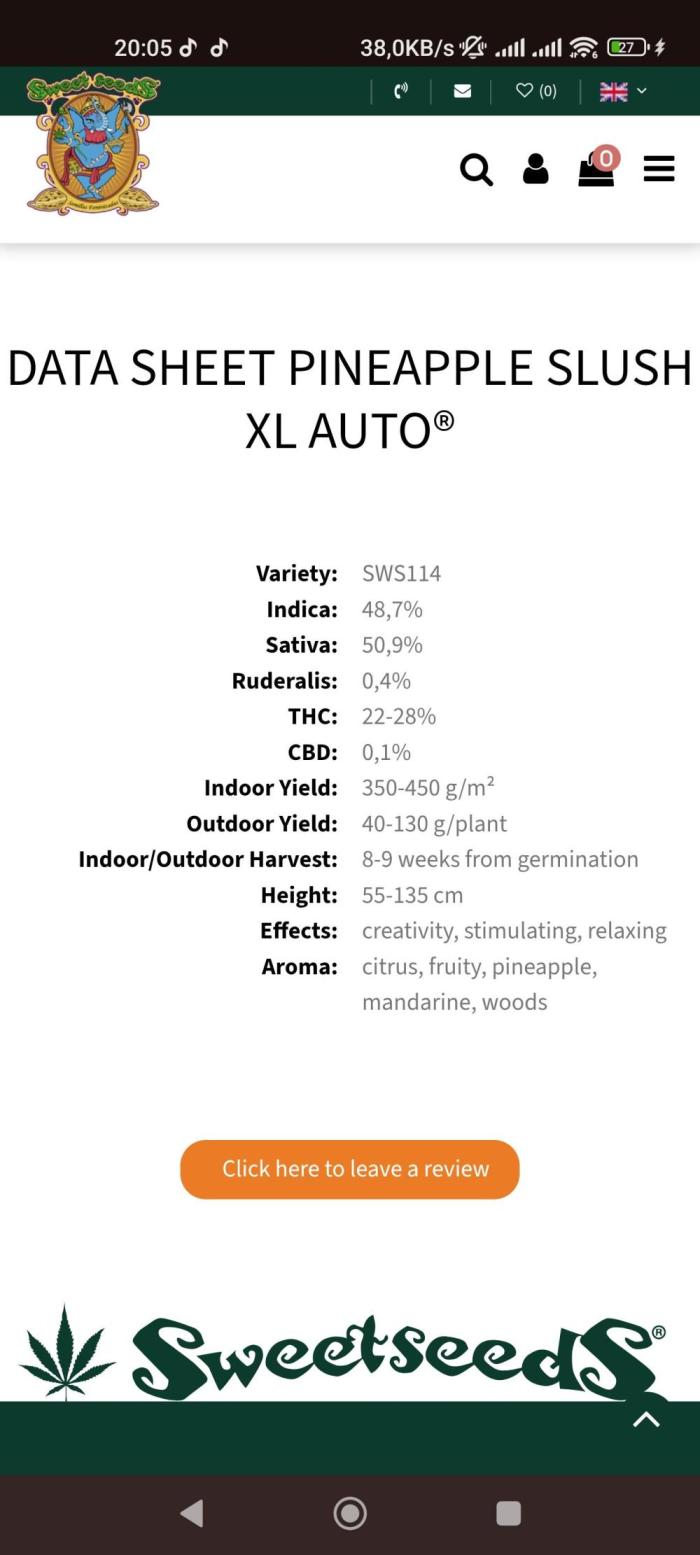 Sweet Seeds mashup / Outdoor 2025. Week 12