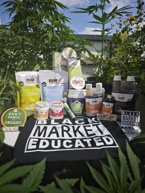 Biotabs Interview 💚🌱. Week 10