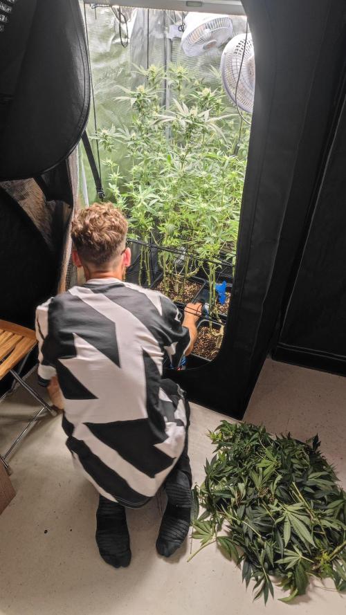 Biotabs Interview 💚🌱. Week 8
