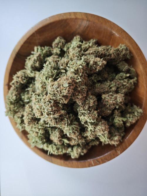 Rainbow Sherbert #11 / Kannabia / Indoor. Week 22