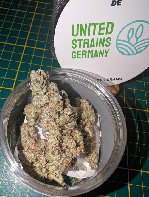 Polar Gelato. Week 18 - Boom 💥 what a smoke smooth and fruity as fuuckkkk next strain safe from silents