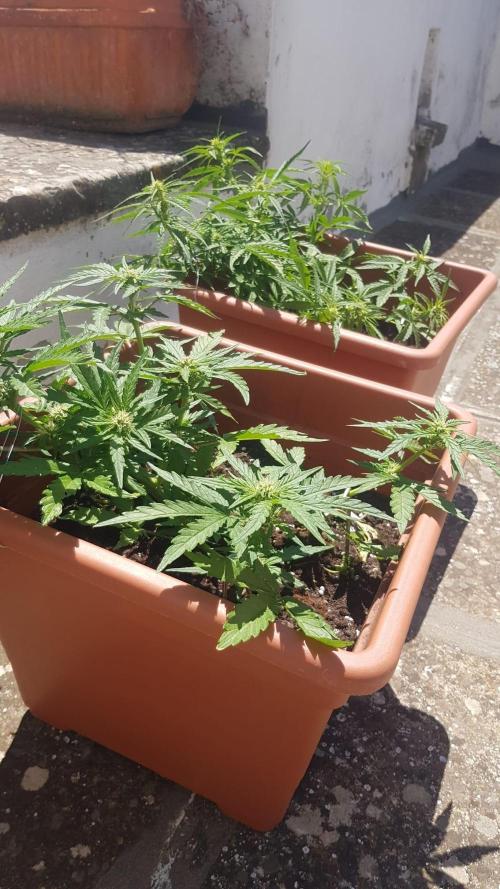 Outdoor. Week 3