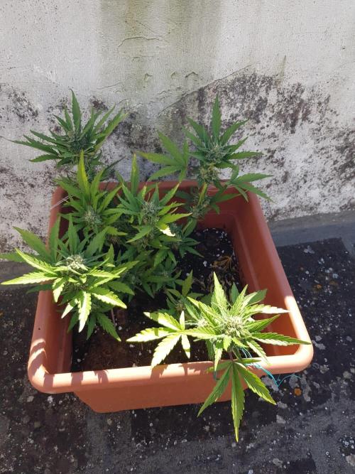 Outdoor. Week 4