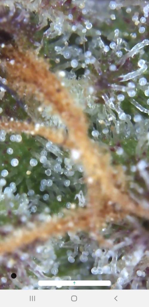 Outdoor. Week 6