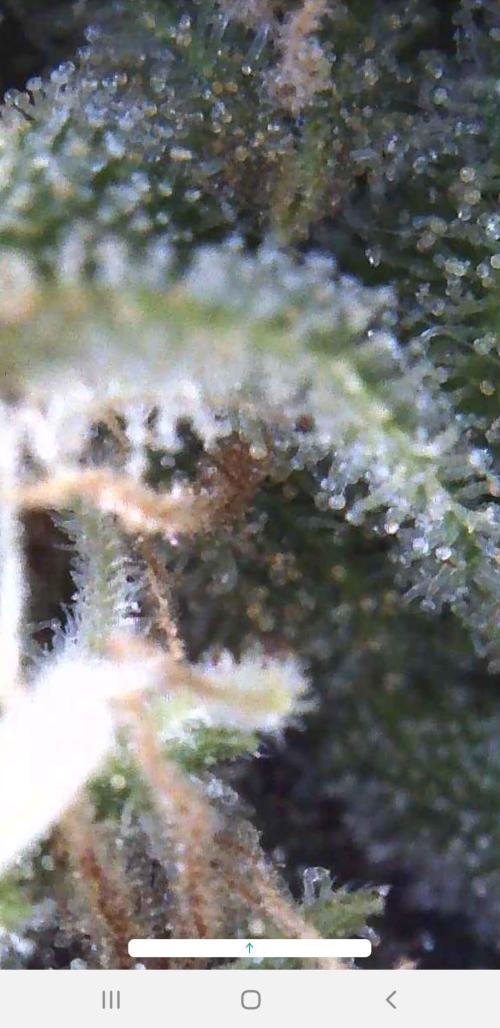Outdoor. Week 7