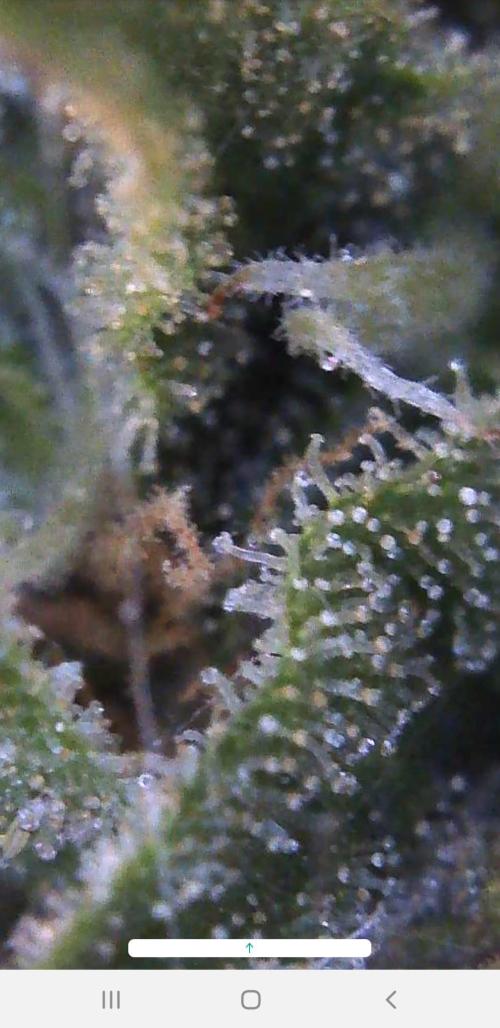 Outdoor. Week 7