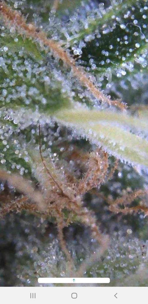Outdoor. Week 7