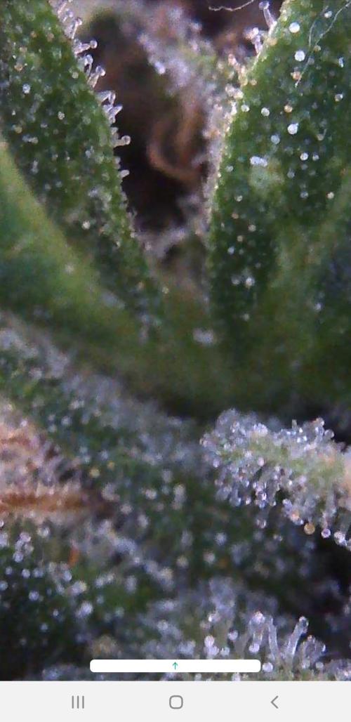 Outdoor. Week 7
