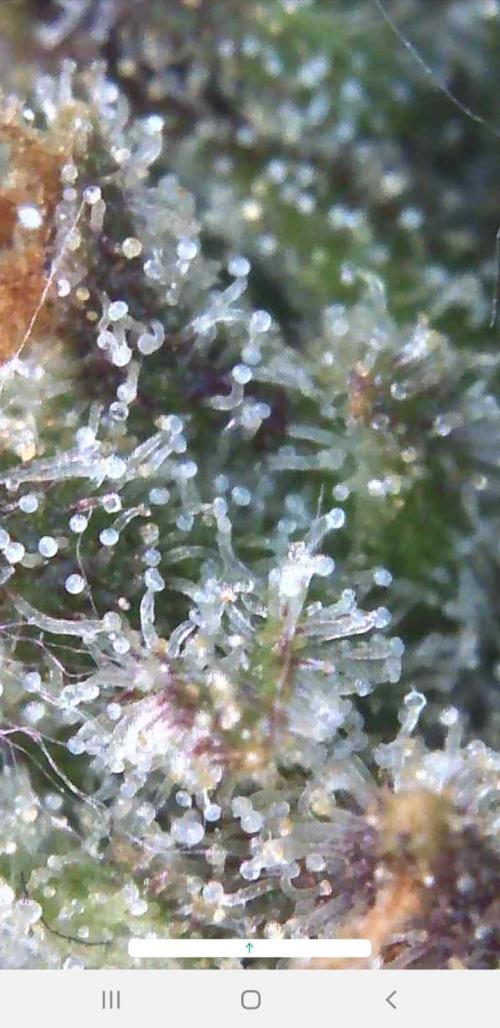 Outdoor. Week 7
