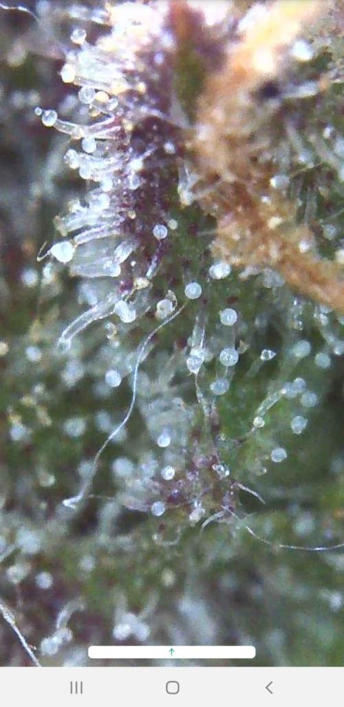 Outdoor. Week 7