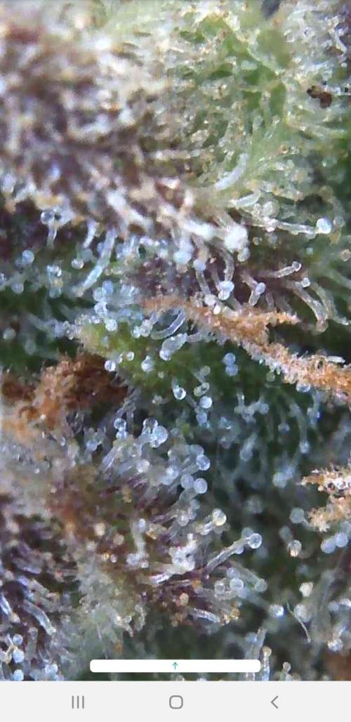 Outdoor. Week 7