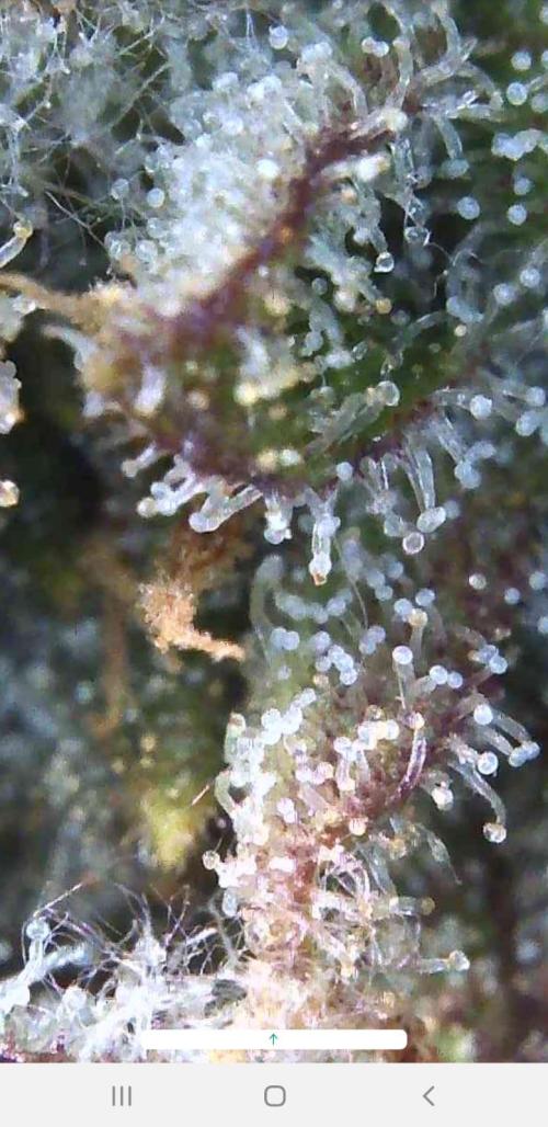 Outdoor. Week 7