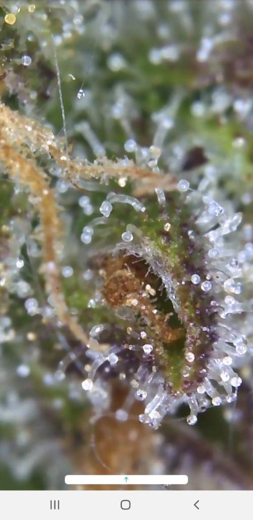 Outdoor. Week 8