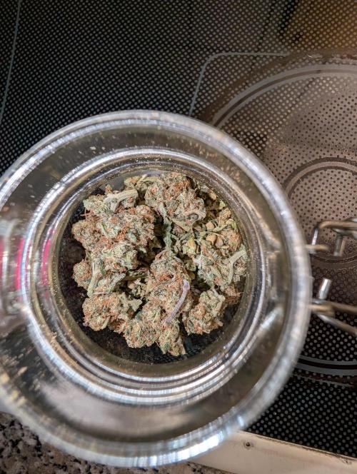 Gigabrain Auto / Anesia Seeds. Week 13 - Das Rauchen aufgrund der terpene macht dich nur glücklich 
