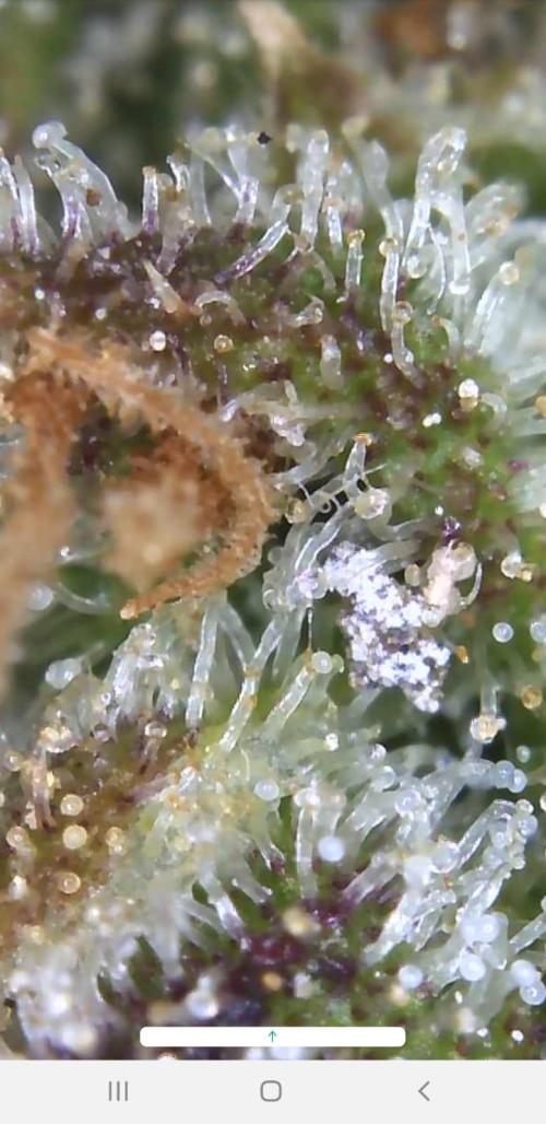 Outdoor. Week 9