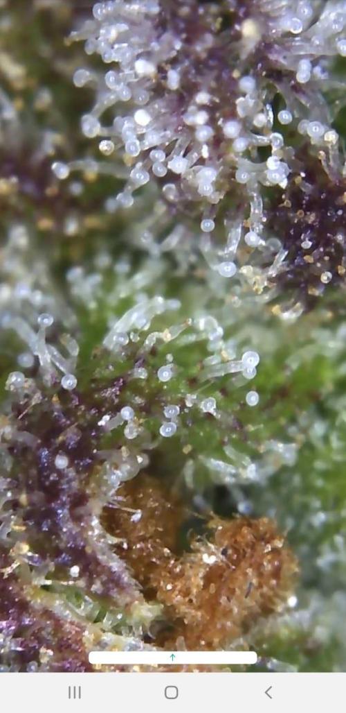 Outdoor. Week 9