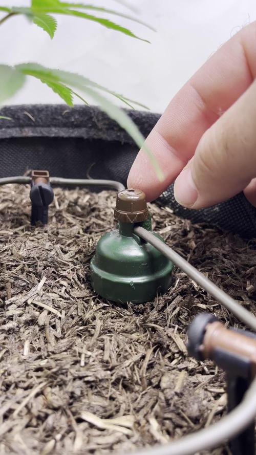 Moisture Matters - Left Pot (Wet)