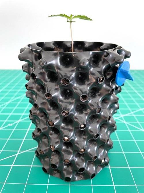 Lone Hyperion F1. Week 0 - Day 7