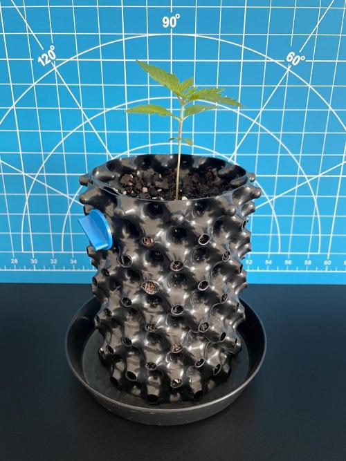 Lone Hyperion F1. Week 1 - Day 14