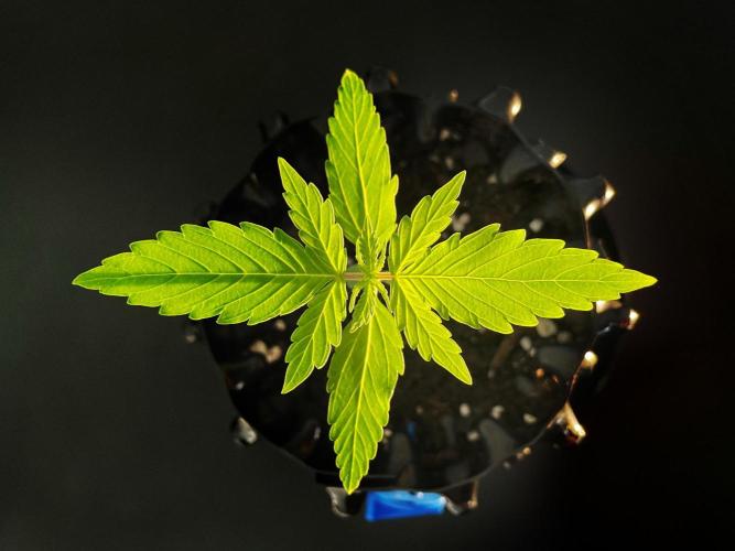 Lone Hyperion F1. Week 1 - Day 14