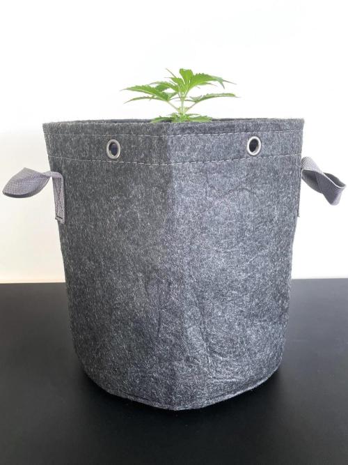 Lone Hyperion F1. Week 3 - Day 28