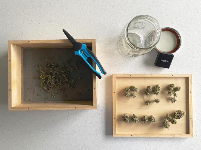 Atlas F1 One-to-One. Week 11 - Not much to trim