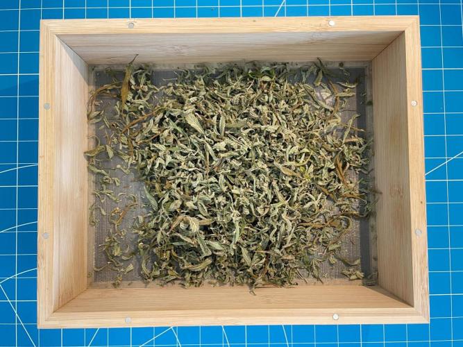 A Particular Orion F1. Week 12 - Dry trimmings