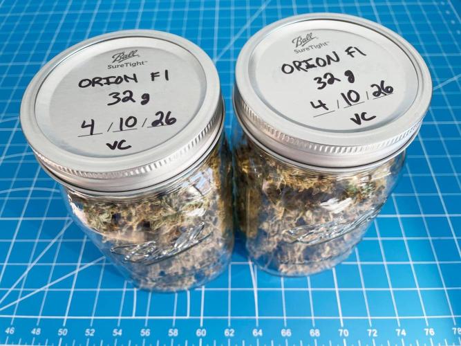 A Particular Orion F1. Week 12 - Jarred