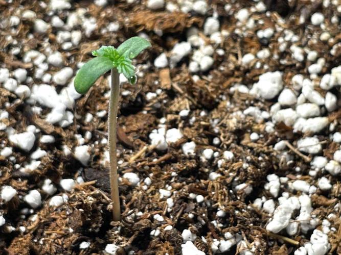 An Individual Apollo F1. Week 0 - Day 1