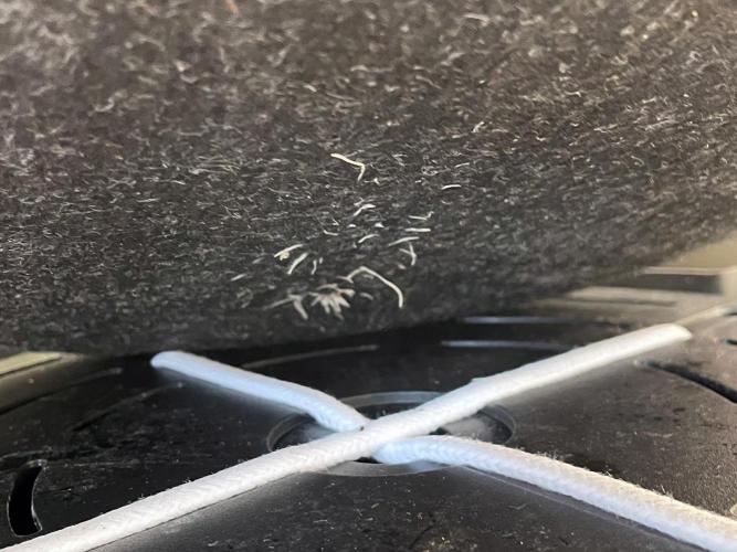 An Individual Apollo F1. Week 3 - Day 28: roots and sub-irrigation wicks
