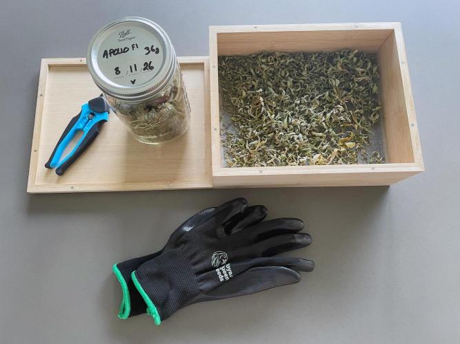 An Individual Apollo F1. Week 11 - Trimming box
