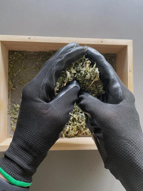 An Individual Apollo F1. Week 11 - Sifting trim