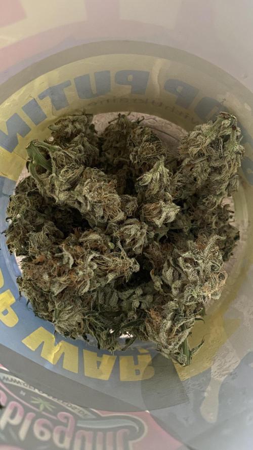 Lemon Wonder (Auto). Week 9