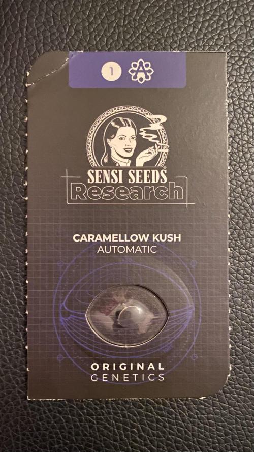 Caramellow Kush Auto. Week 0