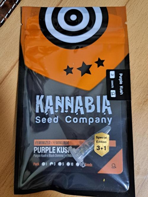 Purple Kush. Week 0 - 4x