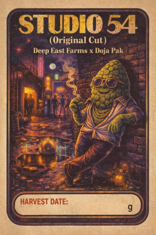 Studio 54 (Deep East x Doja clone). Week 1