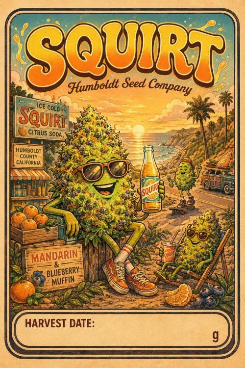 Squirt. Week 0