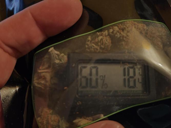 Blue Dream. Week 17 - - Curen im Grove Bag