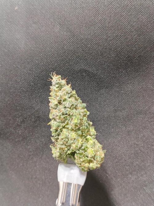 Biscotti. Week 17