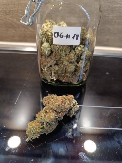 Blue Zushi + OG#18 [GER]🇩🇪. Week 13