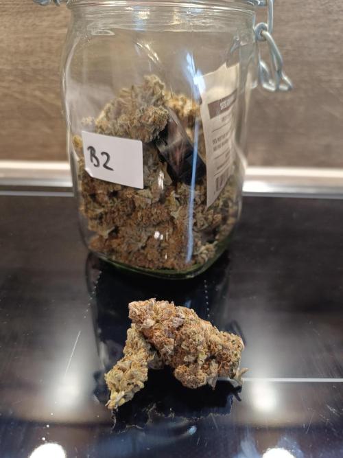 Blue Zushi + OG#18 [GER]🇩🇪. Week 13