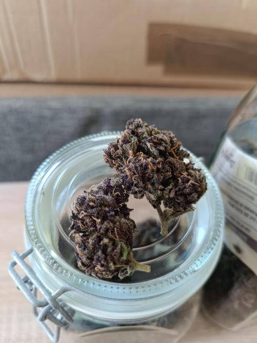 Cherry Cola Auto RF3 &LemonCherryCookies. Week 14