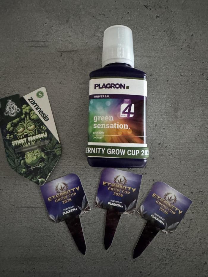 Eternity Grow Cup 2026 Sticky Broccoli. Week 0