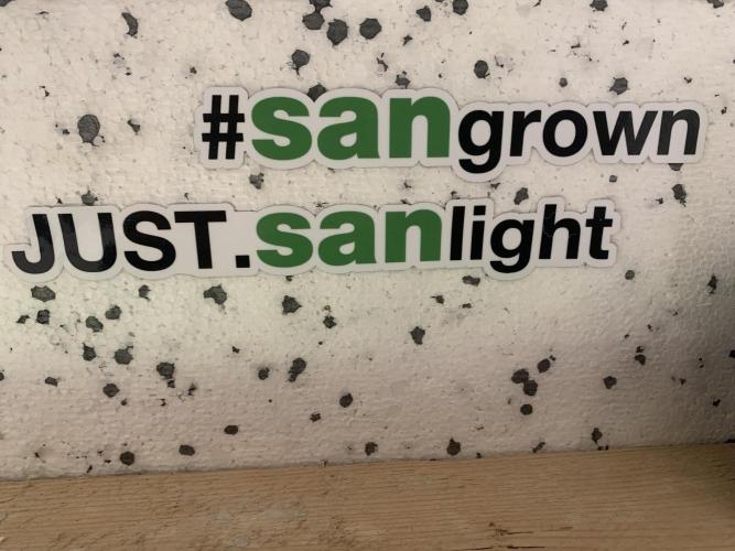 Indoor Grow, first time setup. Week 1